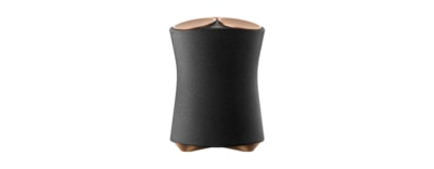 SRS-RA5000 premium Wireless Speaker with ambient room-filling